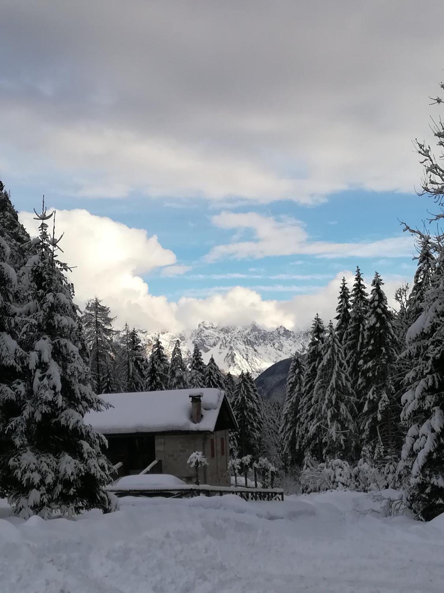 Casa Elena Apartamento Pieve di Cadore Exterior foto